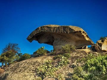 Appartamento - Arzachena