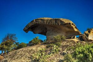 Appartamento - Arzachena