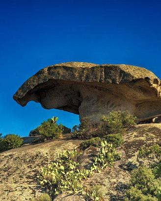 Appartamento - Arzachena Rif: 1088-155