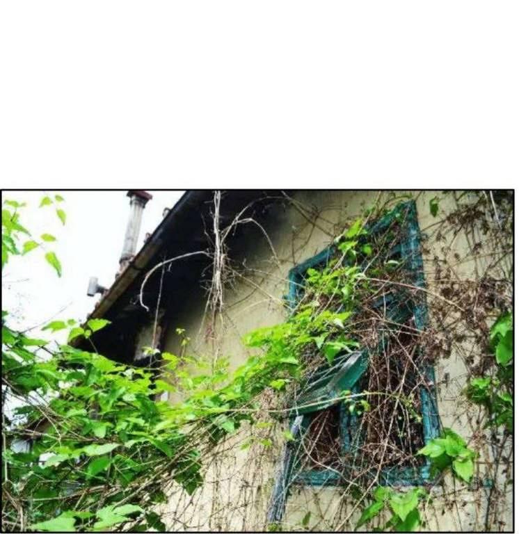 Appartamento – Figline Valdarno, Massa - Vista 4