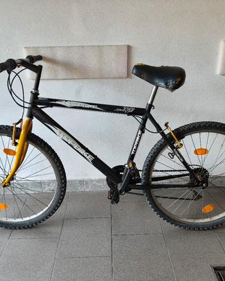 Bicicletta Mountain bike 