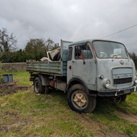 Camion OM 40 e Tigrotto