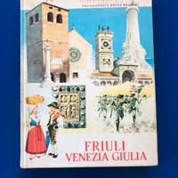 Libro anni ‘70 sul Friuli Venezia Giulia