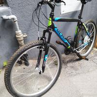 bicicletta mountain-bike