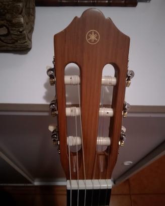 chitarra