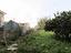 Immagine 18