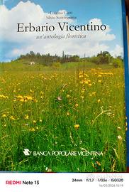 Erbario Vicentino