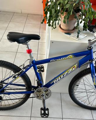 Bicicletta Ragazzo