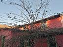 rge-369-2024-trib-pavia