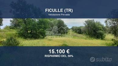 Immobile in asta di 23396 m² a Ficulle