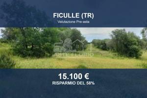 Immobile in asta di 23396 m² a Ficulle