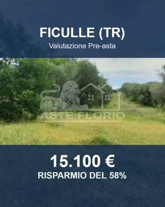 Immobile in asta di 23396 m² a Ficulle