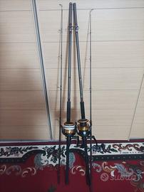 Set Completo per Pesci Gatto