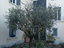 Immagine 6