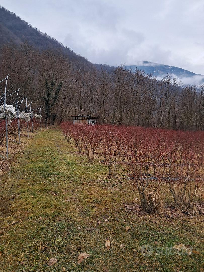 Terreno agricolo Marter - Vista 3