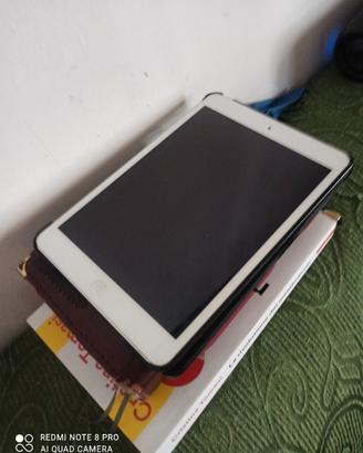 i pad