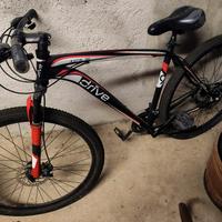 bicicletta Mountain bike