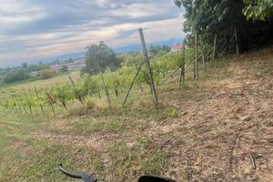Pit bike 125 kxd