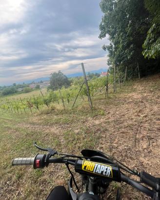 Pit bike 125 kxd