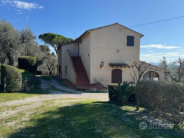 Campiglia M.ma - Casolare con terreno