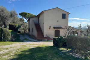 Campiglia M.ma - Casolare con terreno