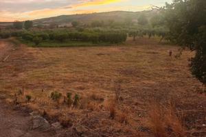 Terreno agricolo di 3000mq a Cammarata