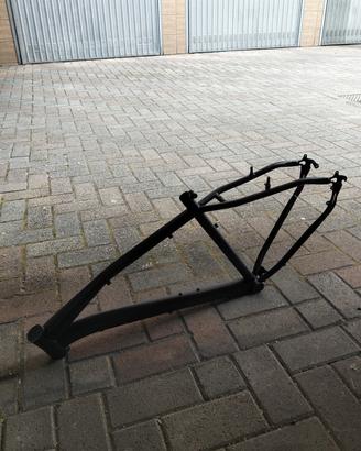 telaio bici