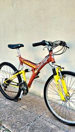 Bicicletta da uomo 
