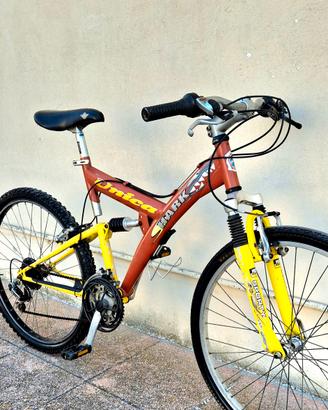 Bicicletta da uomo 