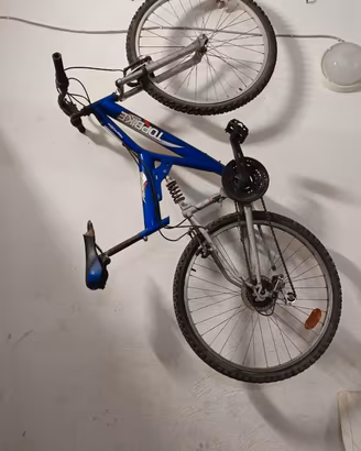 Mountain bike