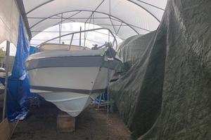 Cranchi 31 endurance