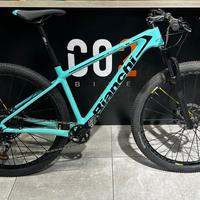 Bianchi Methanol 29 Carbon CV RS