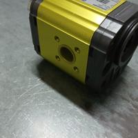 pompa ingranaggi  19 dx