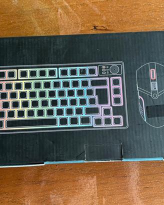 Tastiera wireless e mouse