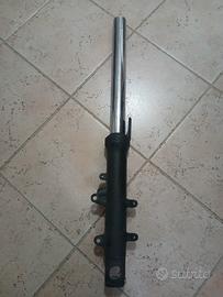 Steli forcella Tmax  