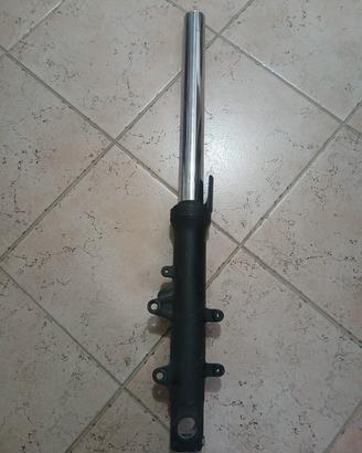 Steli forcella Tmax  