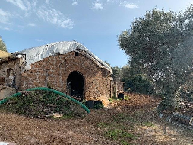 Gallicano nel Lazio rustico con terreno - Vista 5