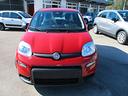 fiat-panda-1-0-firefly-s-s-hybrid-pandina