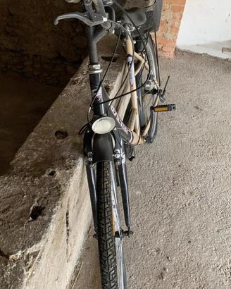 Bicicletta donna con cestino
