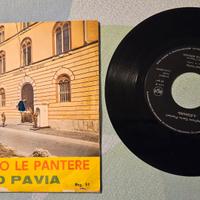 disco vinile 45 giri ciao Pavia Gianni Morandi