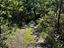 Immagine 22