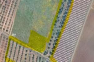 Terreno agricolo