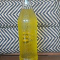 Tassoni Bottiglia Maxi Vetro da esposizione, Arred