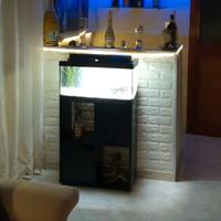 Acquario 60L completo di accessori