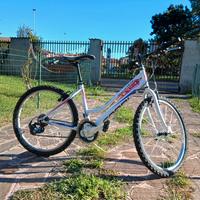 bicicletta mountain bike 24