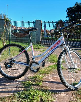 bicicletta mountain bike 24