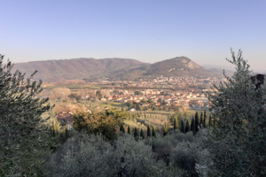 Terreno agricolo con utenze