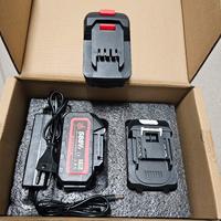 Kit 2 batterie alimentatore e adattatore Parkside