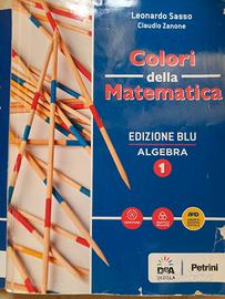 Colori della matematica e Quaderno 1 Ediz. blu.
