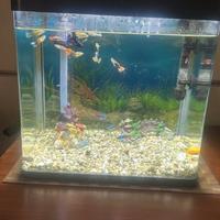 Acquario AMTRA 40 Led